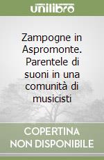 Zampogne in Aspromonte. Parentele di suoni in una comunità di musicisti