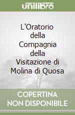 L'Oratorio della Compagnia della Visitazione di Molina di Quosa libro