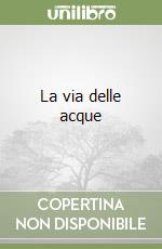 La via delle acque libro