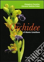 Le orchidee di monte Catalfano libro