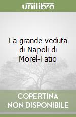 La grande veduta di Napoli di Morel-Fatio libro