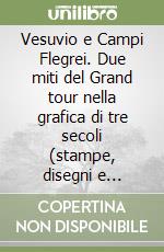 Vesuvio e Campi Flegrei. Due miti del Grand tour nella grafica di tre secoli (stampe, disegni e acquerelli dal 1540 al 1876) libro