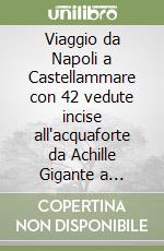 Viaggio da Napoli a Castellammare con 42 vedute incise all'acquaforte da Achille Gigante a Gustavo Witting libro