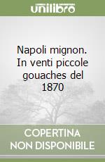 Napoli mignon. In venti piccole gouaches del 1870 libro