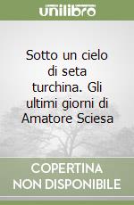 Sotto un cielo di seta turchina. Gli ultimi giorni di Amatore Sciesa