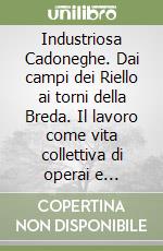 Industriosa Cadoneghe. Dai campi dei Riello ai torni della Breda. Il lavoro come vita collettiva di operai e imprenditori