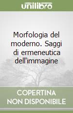 Morfologia del moderno. Saggi di ermeneutica dell'immagine libro