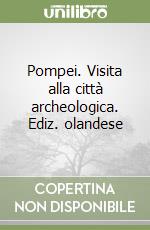 Pompei. Visita alla città archeologica. Ediz. olandese libro