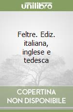 Feltre. Ediz. italiana, inglese e tedesca libro