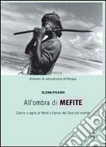 All'ombra di Mefite. Capire e agire a nord a fianco del sud del mondo