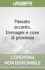 Passato accanto. Immagini e cose di provincia libro