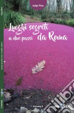 Luoghi segreti a due passi da Roma. Vol. 2 libro