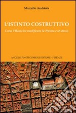 L'istinto costruttivo