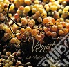 Veneto, we others and wine libro