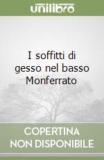 I soffitti di gesso nel basso Monferrato libro