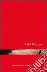 Il bel pastore. Riflessioni sul vangelo libro