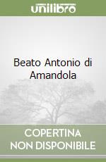 Beato Antonio di Amandola libro