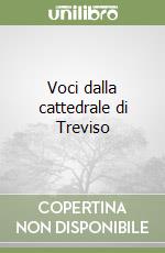 Voci dalla cattedrale di Treviso libro