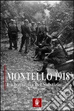 Montello 1918. La battaglia del solstizio libro