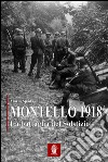 Montello 1918. La battaglia del solstizio libro di Spada Mario