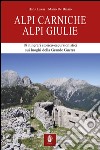 Alpi Carniche. Alpi Giulie. 18 itinerari storico escursionistici sui luoghi della grande guerra libro