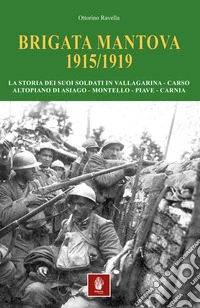 Brigata Mantova 1915/1919. La storia dei suoi soldati in Vallagarina, Carso, Altopiano di Asiago, Montello, Piave, Carnia libro