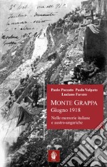 Monte Grappa giugno 1918. Nelle memorie italiane e austro-ungariche libro