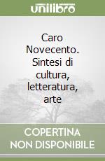 Caro Novecento. Sintesi di cultura, letteratura, arte