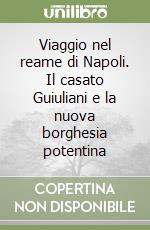 Viaggio nel reame di Napoli. Il casato Guiuliani e la nuova borghesia potentina libro