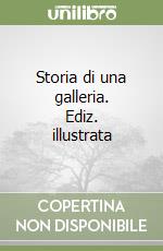 Storia di una galleria. Ediz. illustrata libro