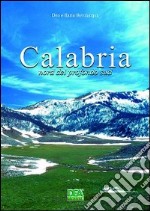 Calabria. Nord del profondo Sud libro