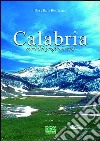 Calabria. Nord del profondo Sud libro