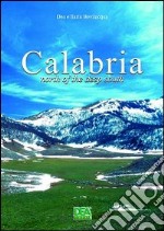 Calabria. North of the deep South libro