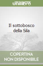 Il sottobosco della Sila