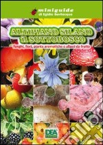 Altipiano silano. IL sottobosco funghi, fiori, piante aromatiche e alberi da frutto libro