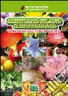 Altipiano silano. IL sottobosco funghi, fiori, piante aromatiche e alberi da frutto libro di Bevilacqua Egidio