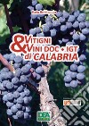 Vitigni & vini Doc-Igt di Calabria libro