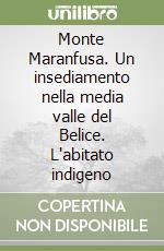 Monte Maranfusa. Un insediamento nella media valle del Belice. L'abitato indigeno