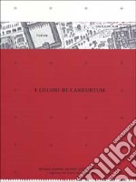 I coloni di Carnuntum. Mercanti d'ambra, sacerdoti dell'imperatore e legionari sul Limes danubiano libro