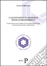 Il nuovo istituto giuridico «piano di risanamento». I criteri d'accesso per le imprese, la nuova figura professionale, e la crescita per le piccole e medie imprese libro