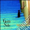 Gatti del sole. Ediz. illustrata libro