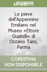 Le pieve dell'Appennino Emiliano nel Museo «Ettore Guatelli» di Ozzano Taro, Parma libro