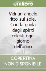 Vidi un angelo ritto sul sole. Con la guida degli spiriti celesti ogni giorno dell'anno libro