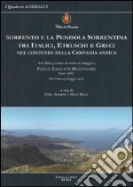 Sorrento e la penisola sorrentina tra italici, etruschi e greci nel contesto della Campania antica libro