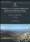 Sorrento e la penisola sorrentina tra italici, etruschi e greci nel contesto della Campania antica libro