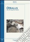 Oebalus. Studi sulla Campania nell'antichità. Vol. 5 libro di Senatore F. (cur.)