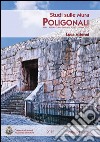 Studi sulle mura poligonali. Alatri. Atti del quinto seminario (30-31 ottobre 2010) libro di Attenni L. (cur.)