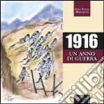 1916 un anno di guerra libro