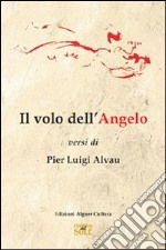 Il volo dell'angelo libro