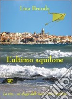 L'ultimo aquilone libro